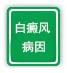 白癜风病因